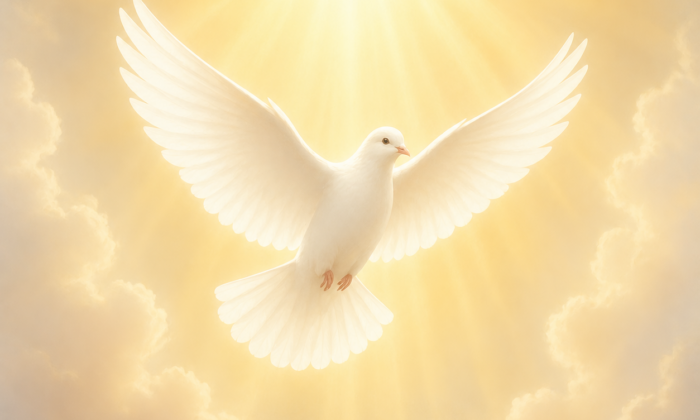 Colombe de l'Esprit-Saint